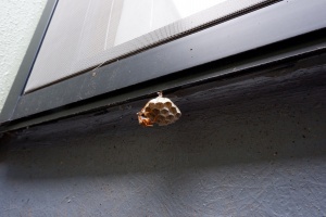 何時間働いているのか