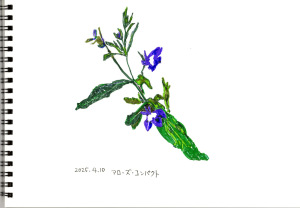花がついた